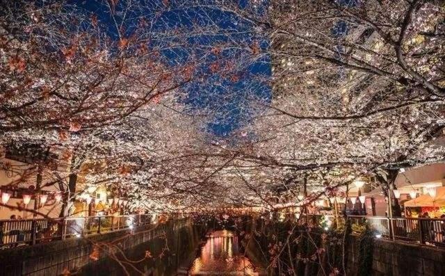 Готель Sakuranomiya Осака Екстер'єр фото